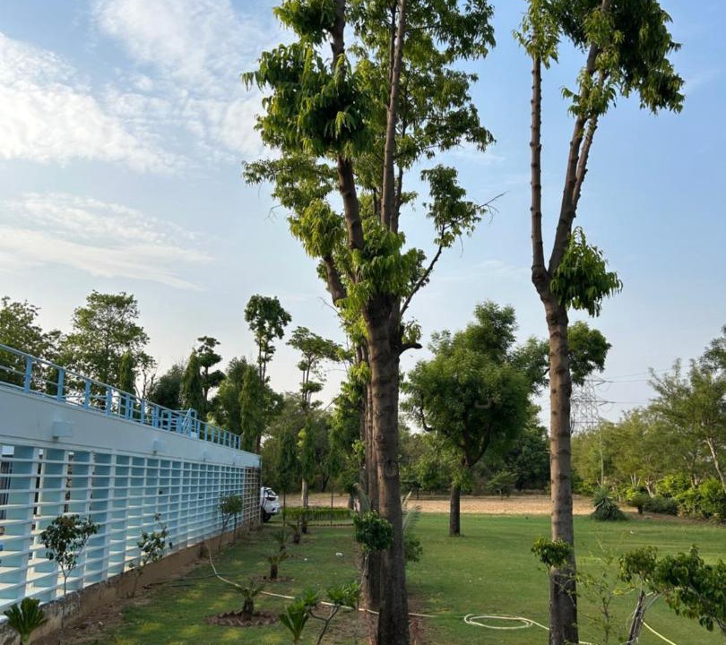 Photo of Others in Jaipur
