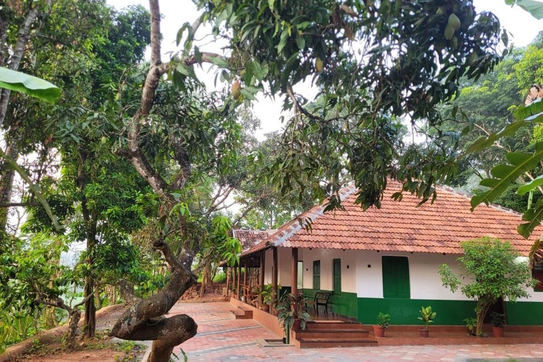 Photo of Others in Mananthavady