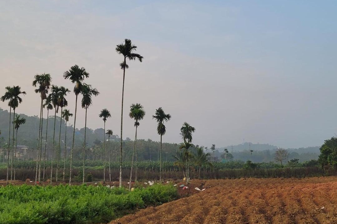 Photo of Others in Mananthavady
