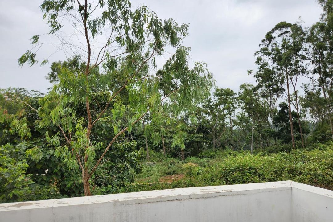 Photo of Others in Yercaud