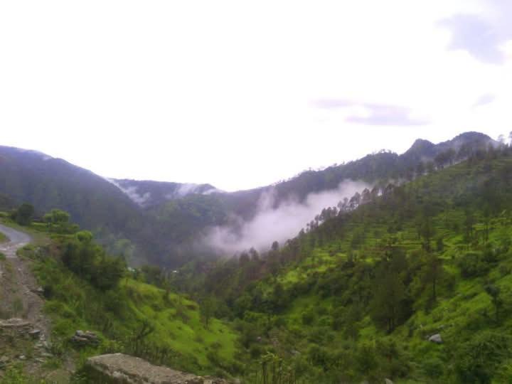 Photo of Others in Tehri