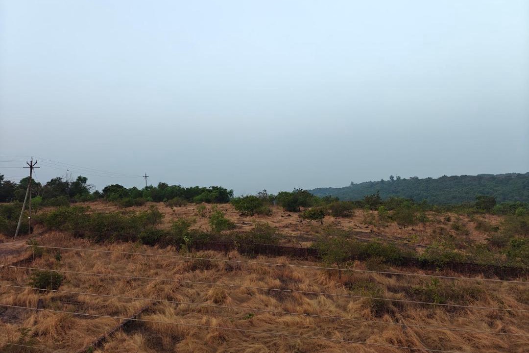 Photo of Others in Ratnagiri