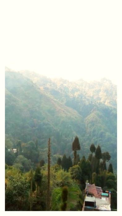 Photo of Others in Darjeeling