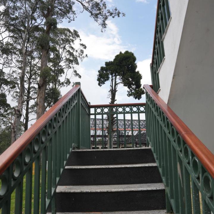 Photo of Others in Kodaikanal