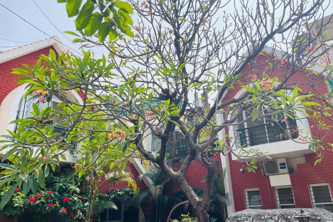 Photo of Others in Viman Nagar