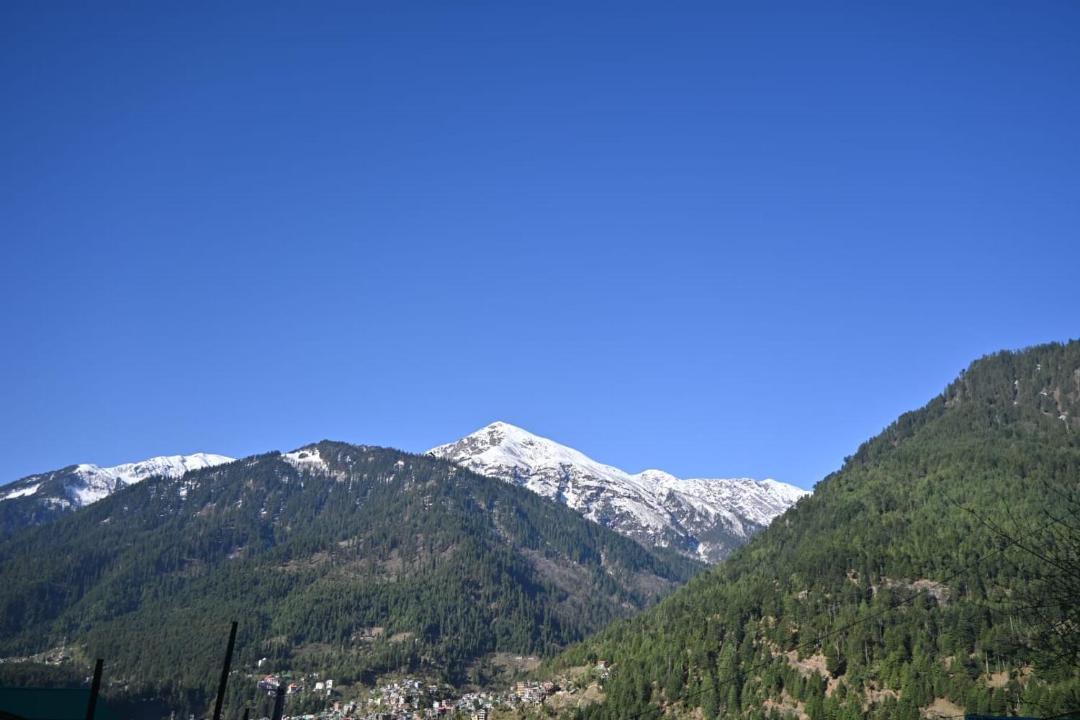 Photo of Others in Manali