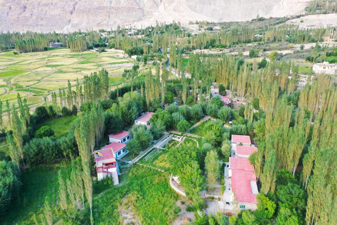 Photo of Others in Ambad