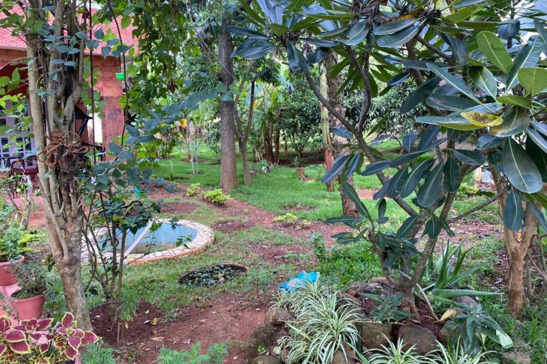 Photo of Others in Yelagiri