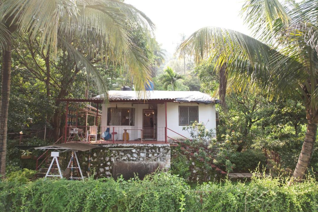 Photo of Others in Murud