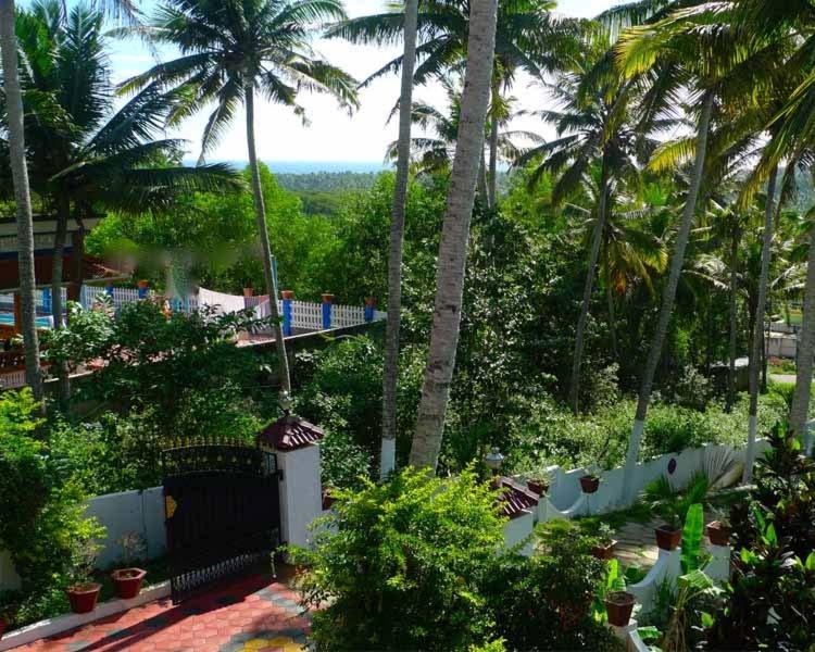 Photo of Others in Poovar