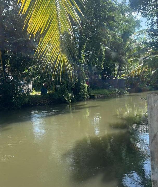 Photo of Others in Kumarakom