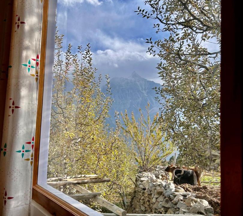 Photo of Others in Kalpa