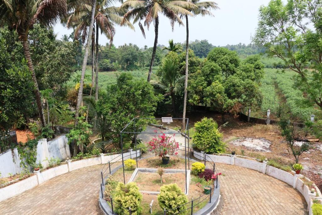 Photo of Others in Perumbavoor
