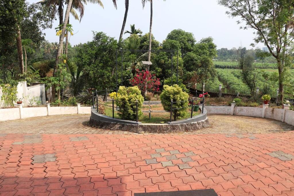 Photo of Others in Perumbavoor