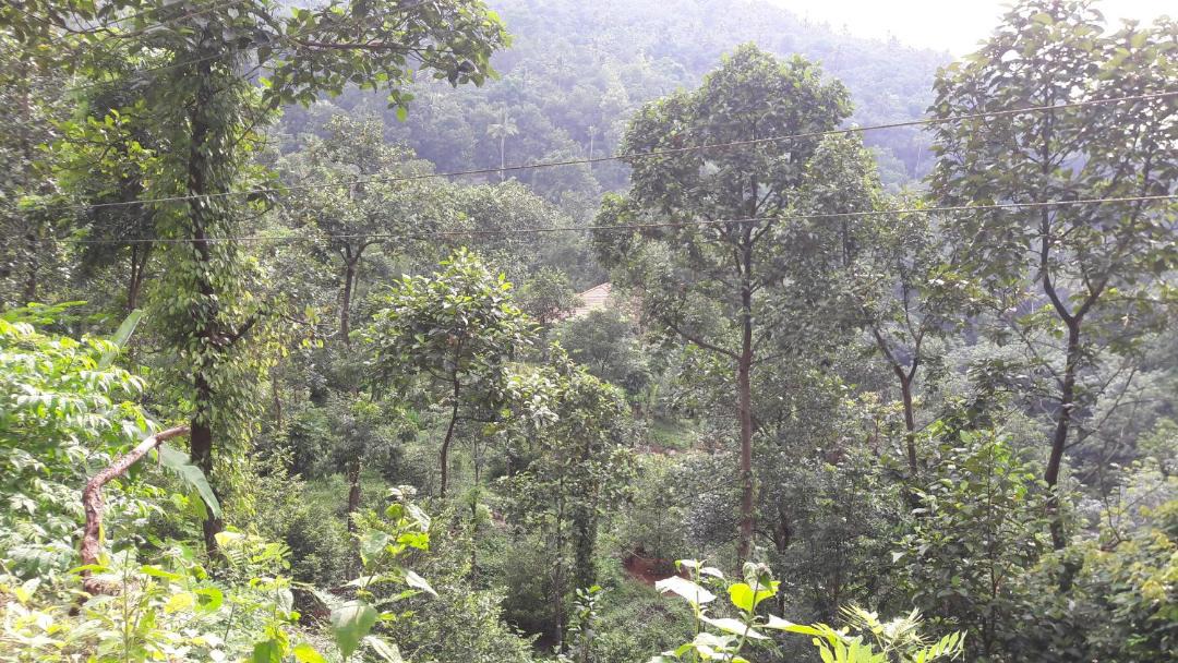 Photo of Others in Elappara