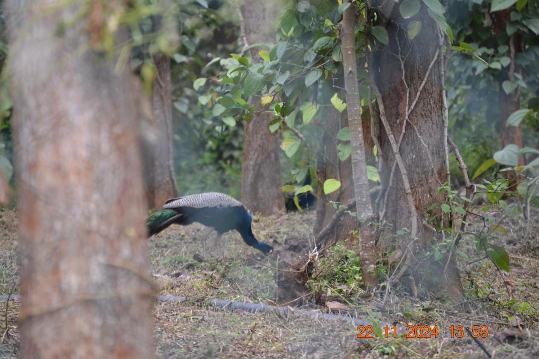 Photo of Others in Namakkal