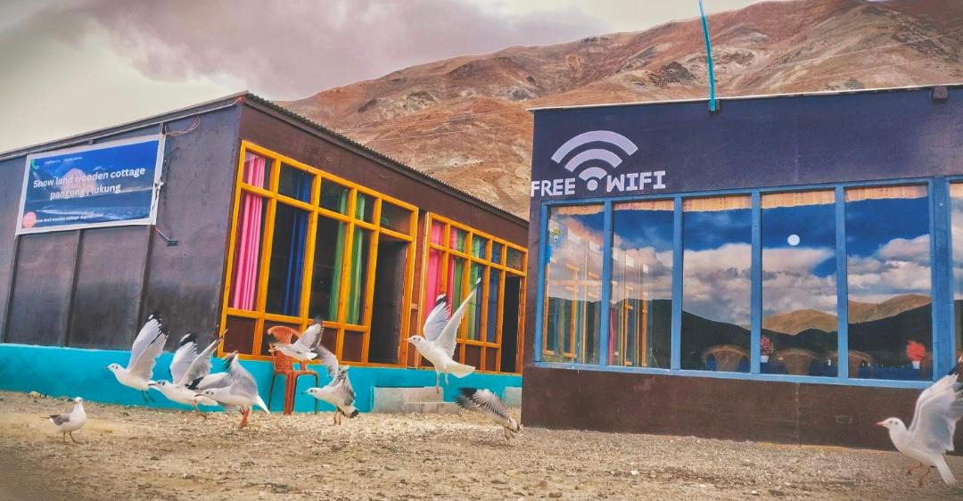 Photo of Others in Leh