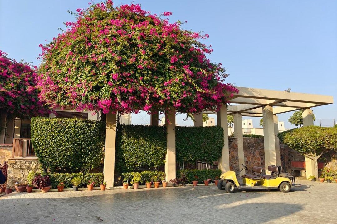 Photo of Others in Bissar Akbarpur