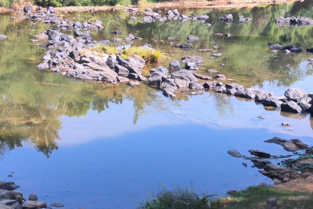 Photo of Others in Siddapura