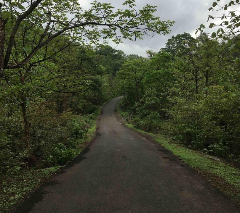 Photo of Others in Kolad
