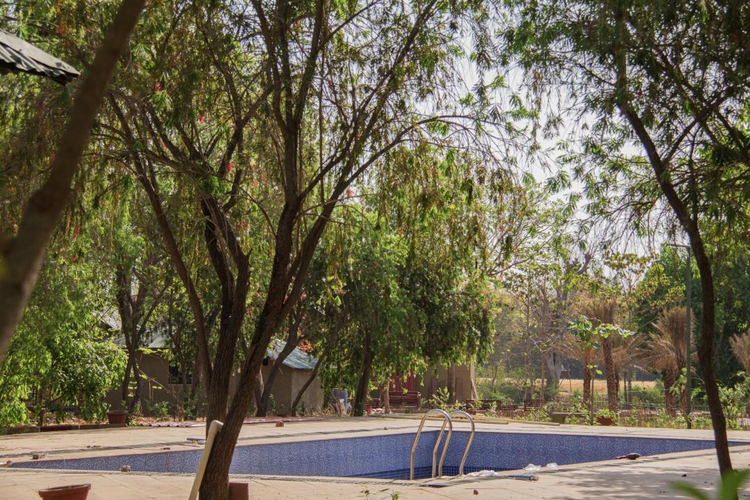Photo of Others in Tala