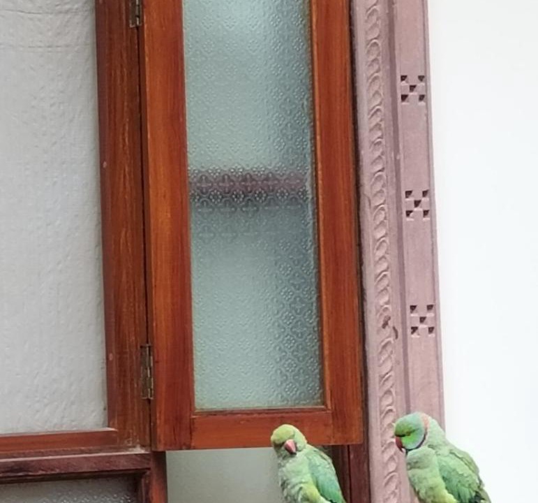 Photo of Others in Jodhpur