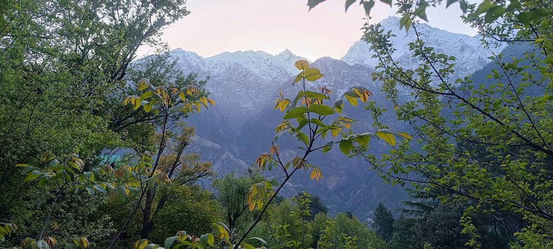 Photo of Others in Kalpa