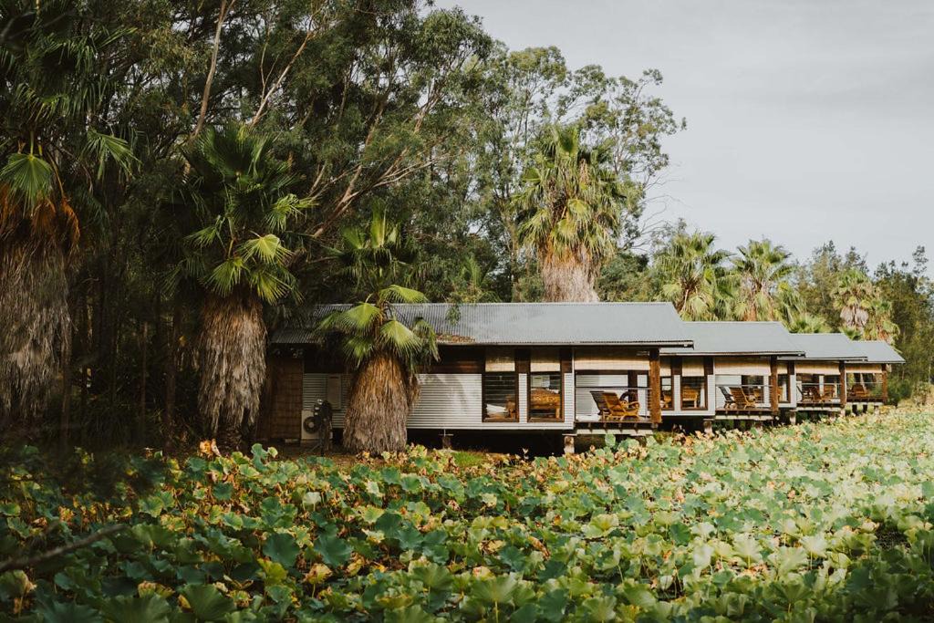 Photo of Others in Lovedale