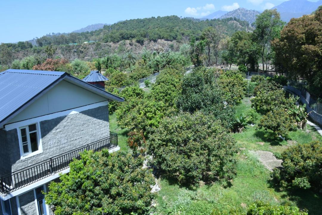 Photo of Others in Dharamshala