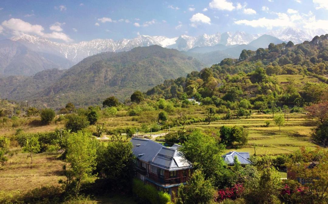Photo of Others in Dharamshala