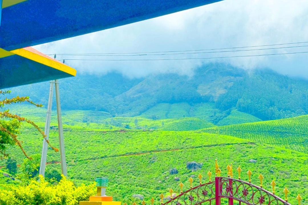 Photo of Others in Suryanelli