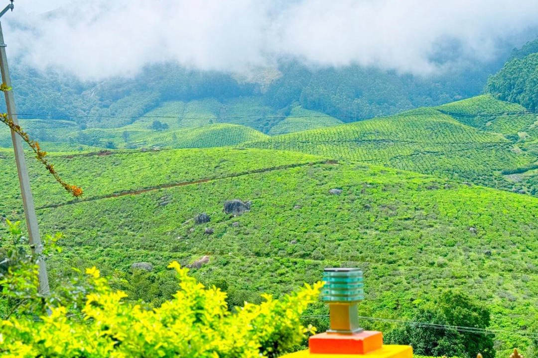 Photo of Others in Suryanelli