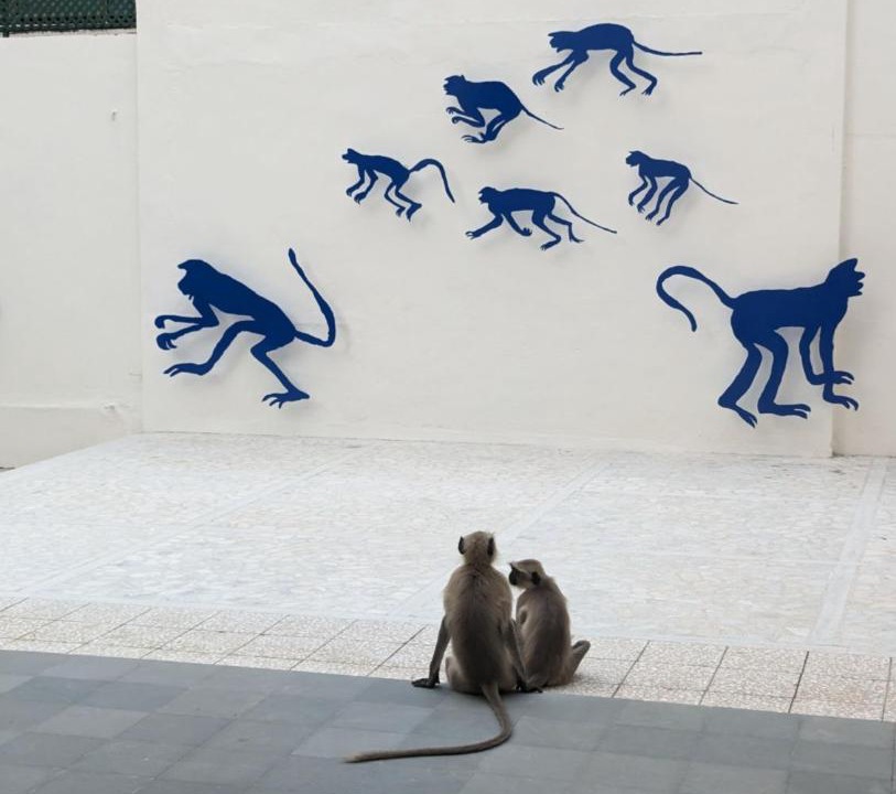 Photo of Others in Navrangpura