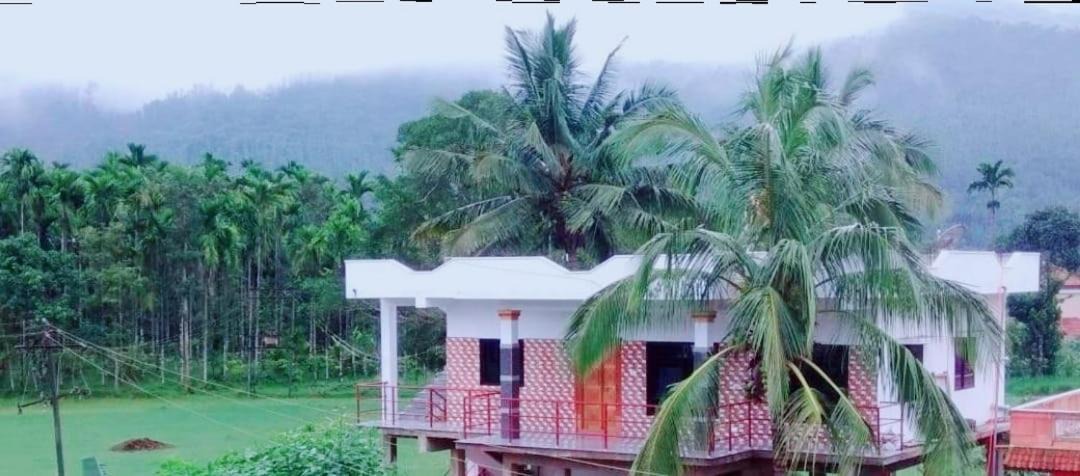 Photo of Others in Samse