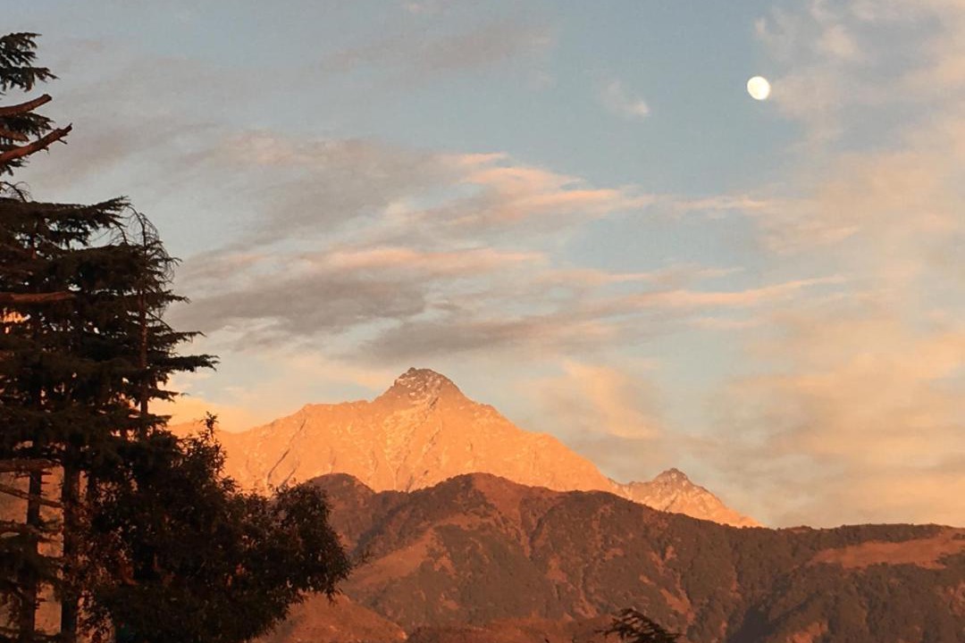 Photo of Others in McLeod Ganj