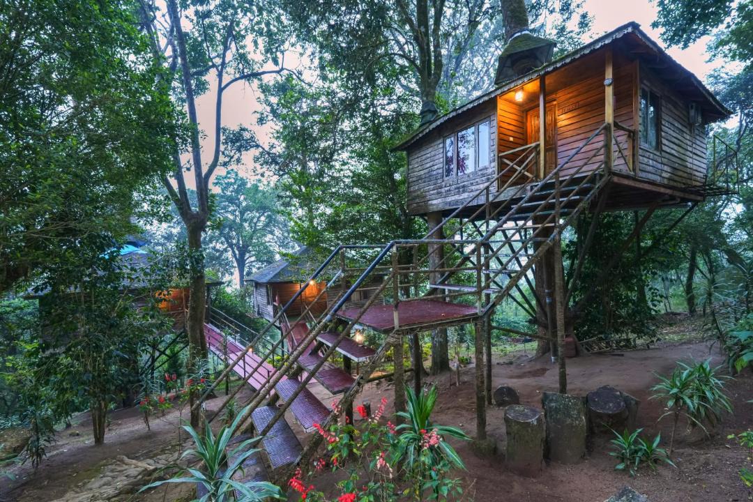 Photo of Others in Munnar