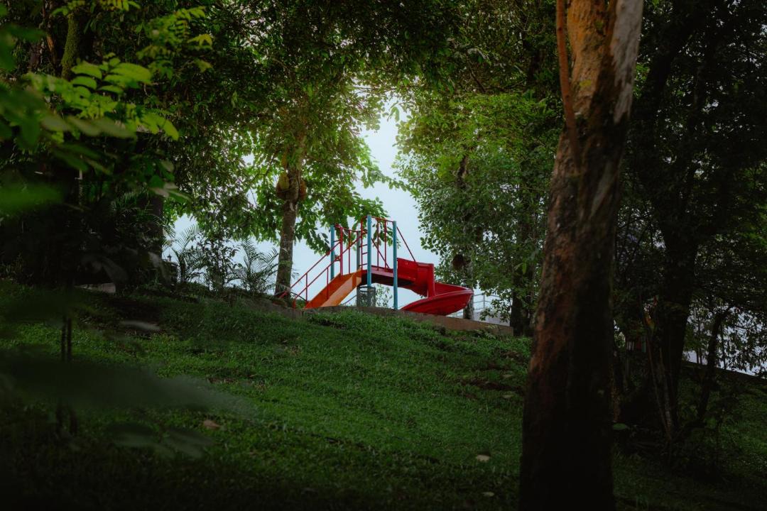 Photo of Others in Devikolam
