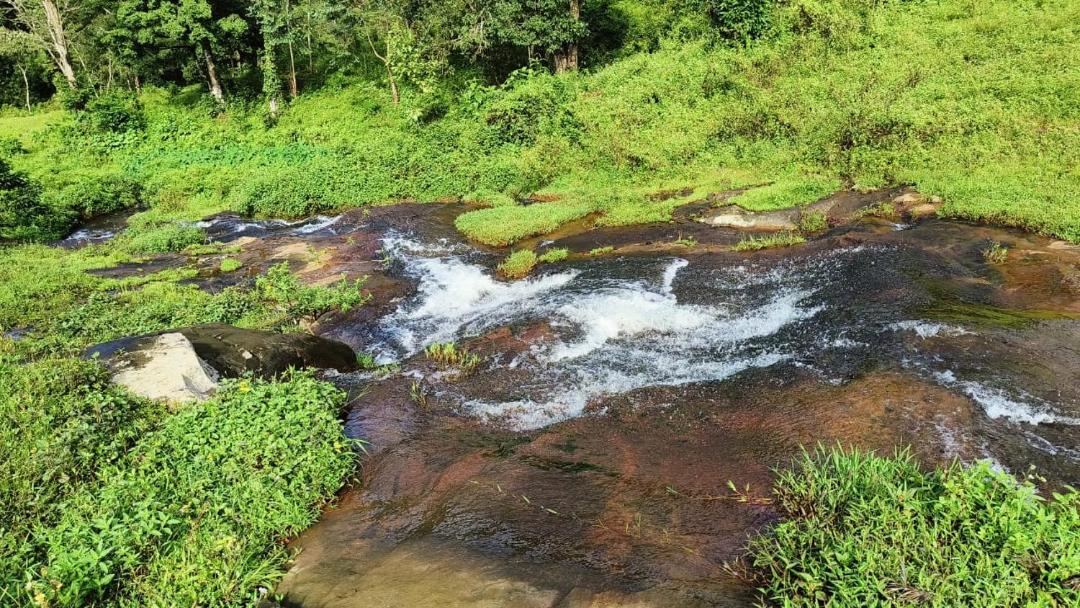 Photo of Others in Valparai