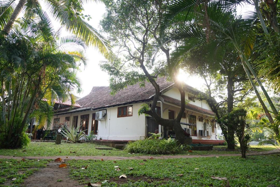 Photo of Others in Fort Kochi