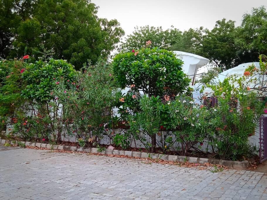 Photo of Others in Devdholera