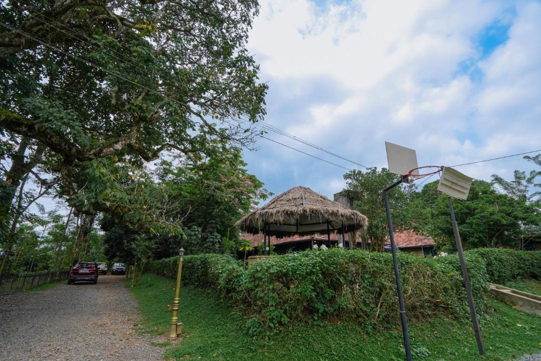 Photo of Others in Vayittiri