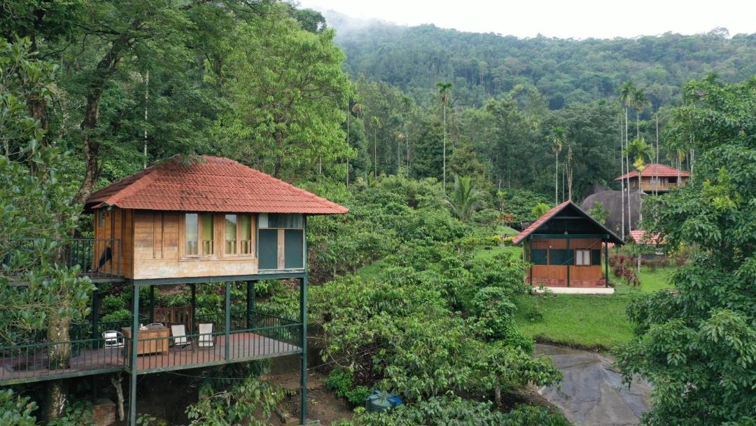 Photo of Others in Kalpetta