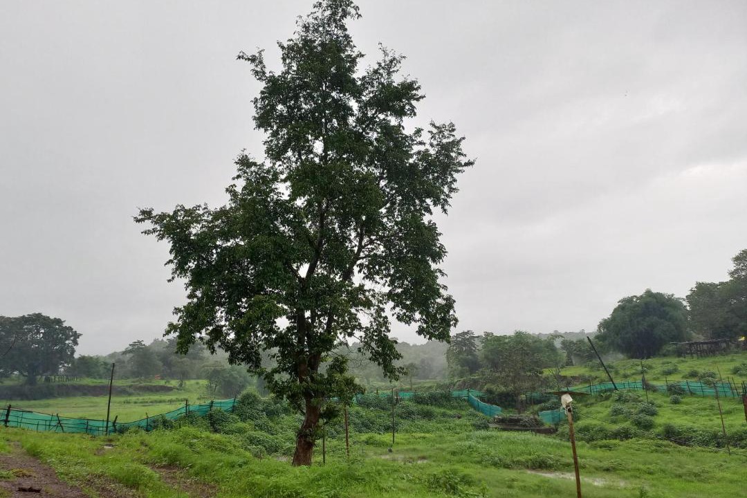Photo of Others in Karjat