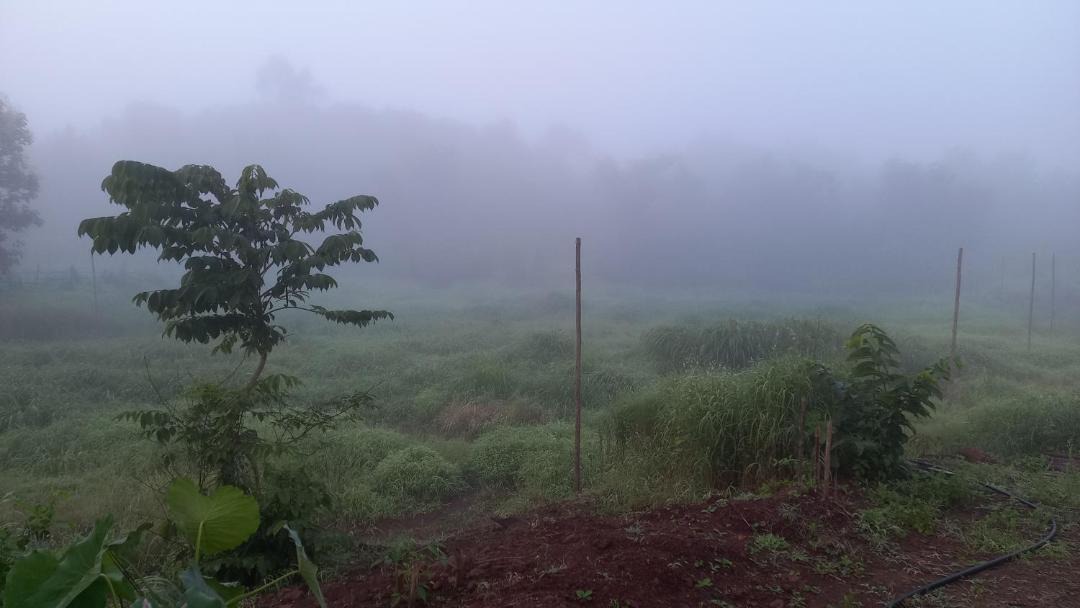 Photo of Others in Karjat