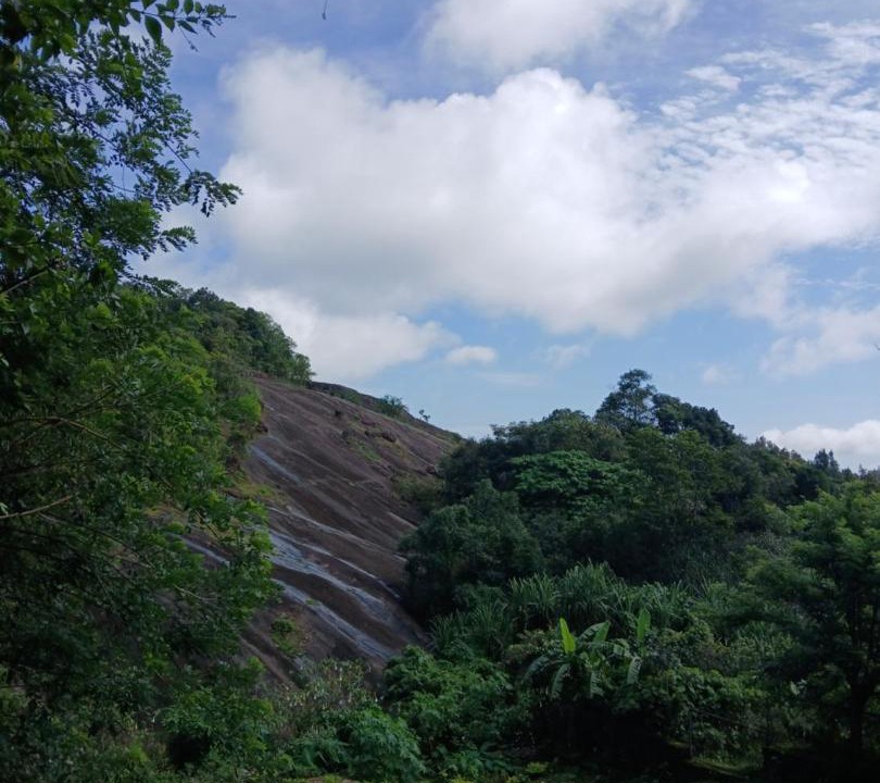 Photo of Others in Elappara