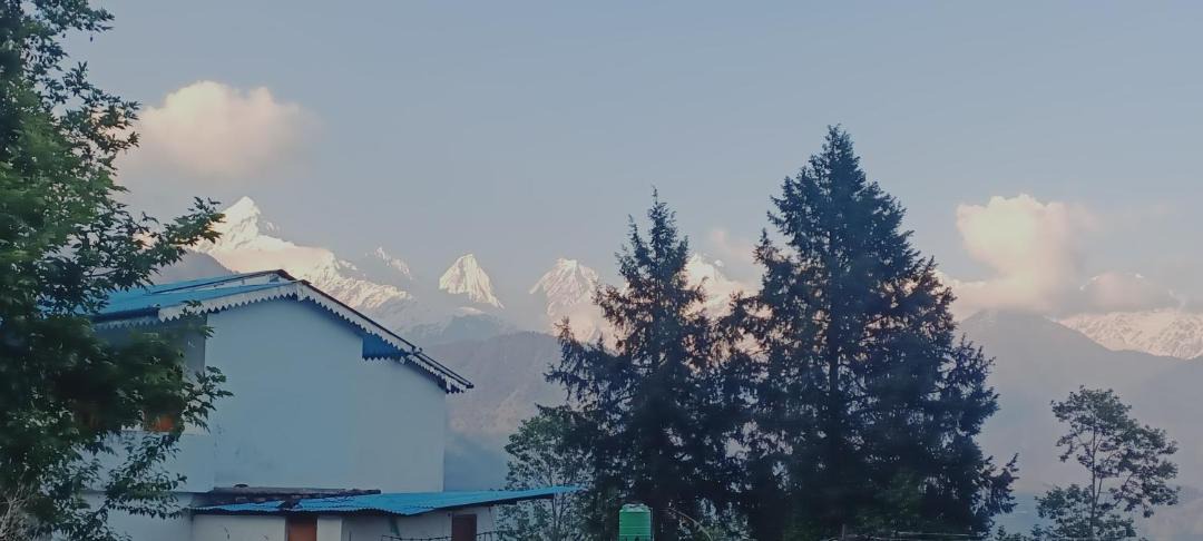 Photo of Others in Munsyari