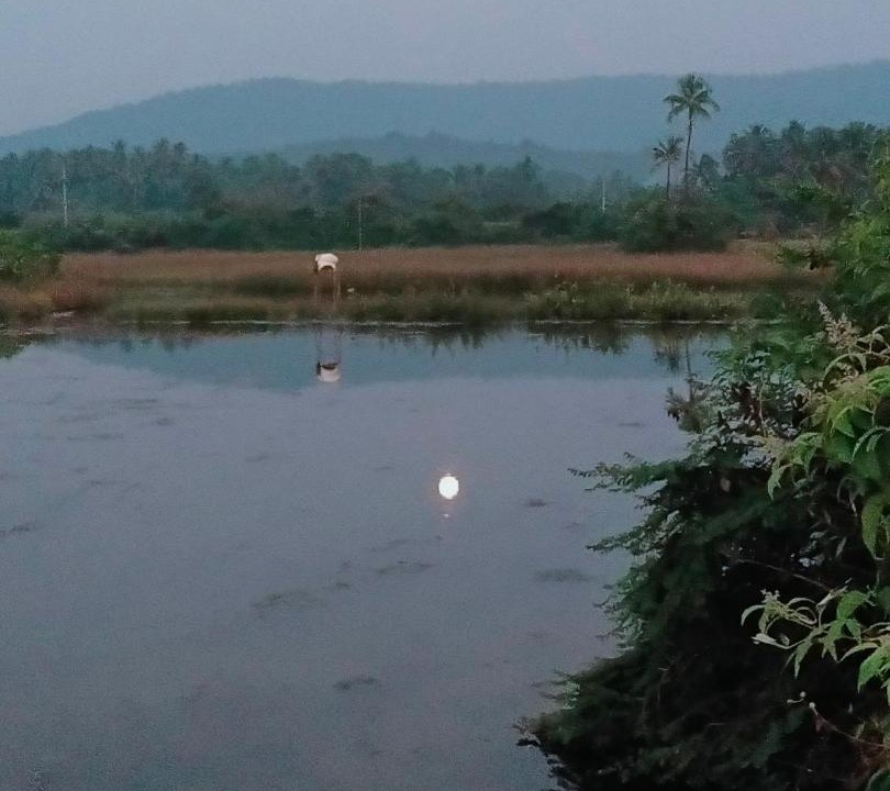 Photo of Others in Hireguthi