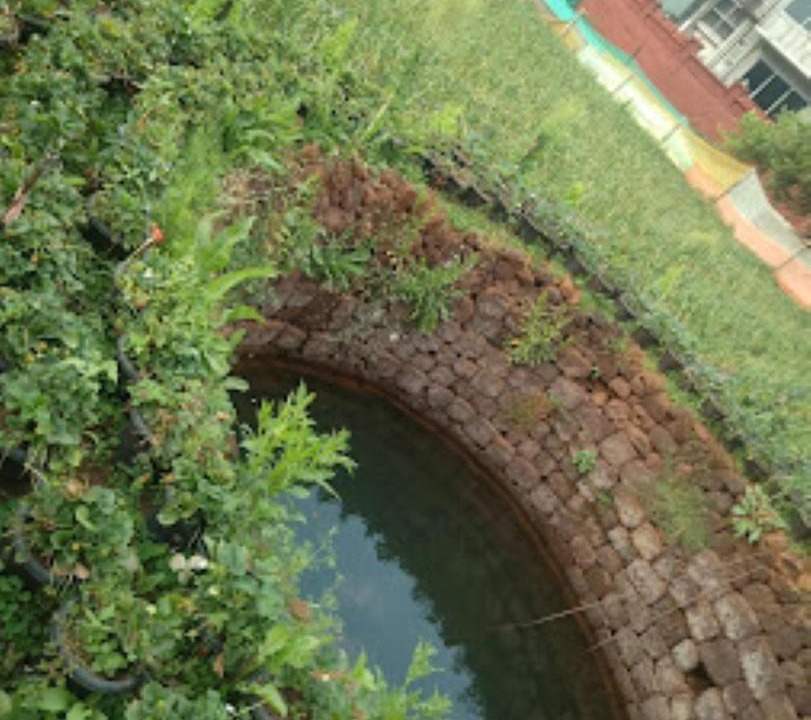 Photo of Others in Mahabaleshwar