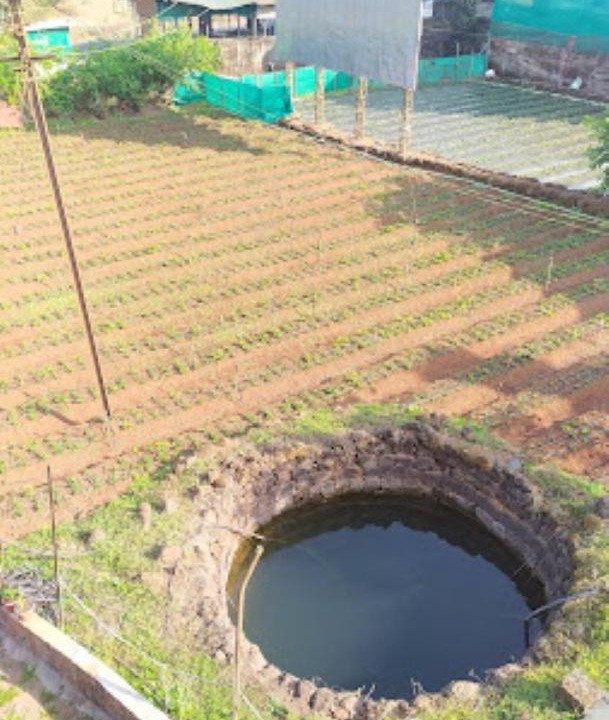 Photo of Others in Mahabaleshwar