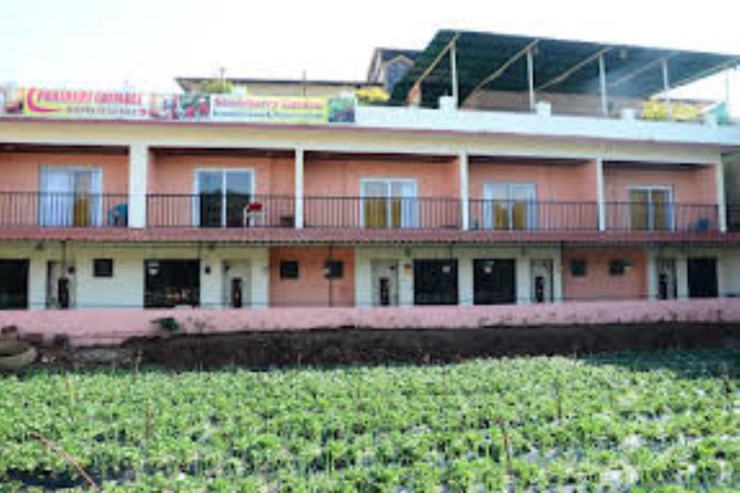 Photo of Others in Mahabaleshwar